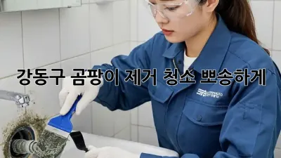 🏡강동구 곰팡이 제거 청소, 뽀송하게✨